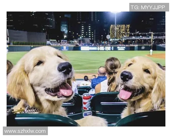 在日本街头偶遇足球明星的奇妙瞬间与精彩故事分享